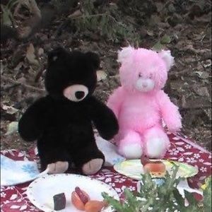 Meet your Posher, Isa